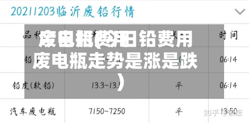 今日铅费用废电瓶(今日铅费用废电瓶走势是涨是跌)