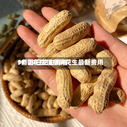 9月29日花生费用/中国花生信息网花生最新费用