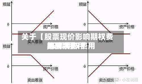 关于【股票现价影响期权费用,股票期权费用与股票费用的关系】-第2张图片