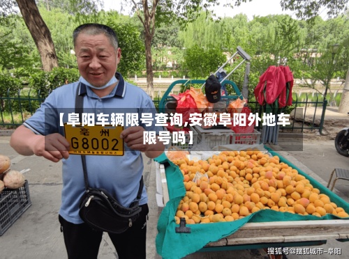 【阜阳车辆限号查询,安徽阜阳外地车限号吗】-第3张图片