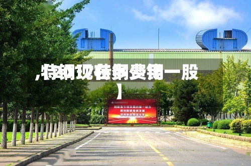 【2017特钢费用
,特钢现在多少钱一股】-第2张图片