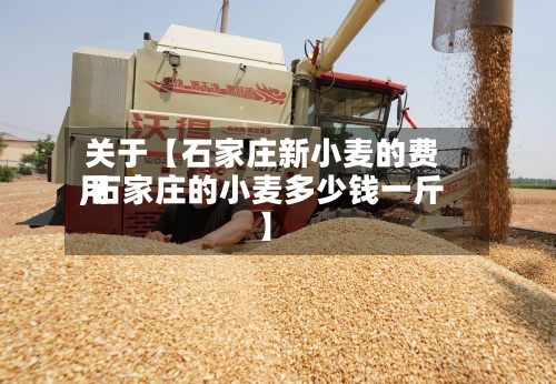 关于【石家庄新小麦的费用,石家庄的小麦多少钱一斤】-第3张图片