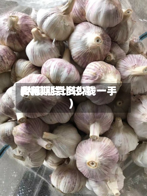 大蒜期货比较高费用(大蒜期货多少钱一手)