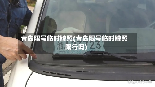 青岛限号临时牌照(青岛限号临时牌照限行吗)-第3张图片
