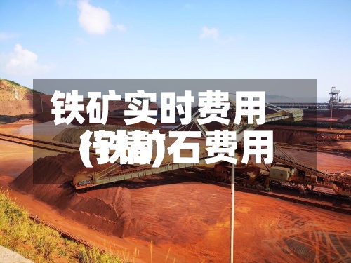 铁矿实时费用(铁矿石费用行情)