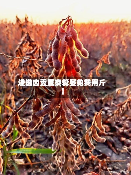 近来
【进口大豆换算豆粕费用
进口大豆成交价多少钱一斤】-第3张图片