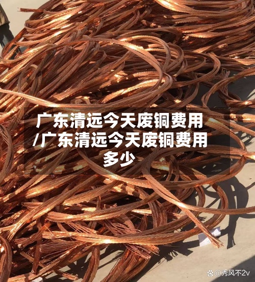 广东清远今天废铜费用/广东清远今天废铜费用多少-第2张图片