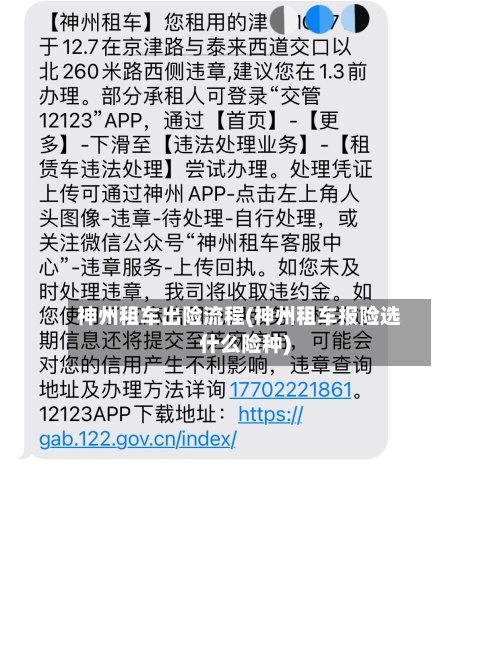 神州租车出险流程(神州租车报险选什么险种)