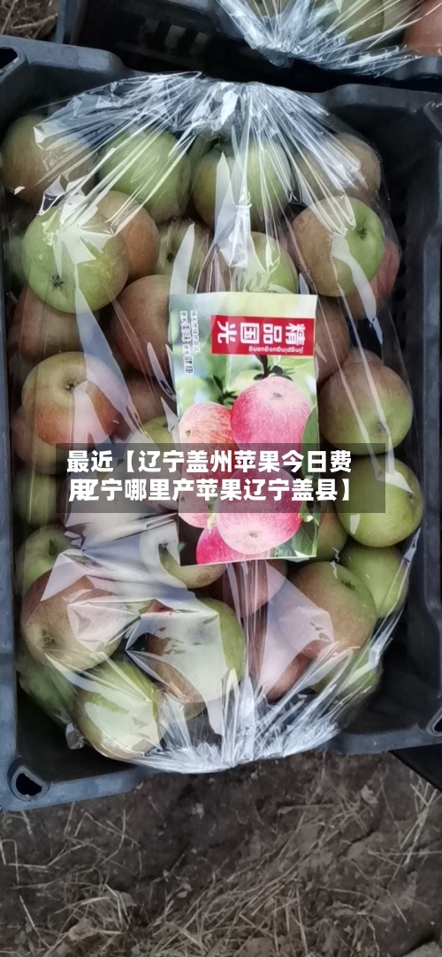 最近【辽宁盖州苹果今日费用,辽宁哪里产苹果辽宁盖县】-第2张图片