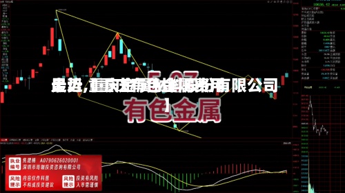 最近【重庆有色金属费用走势,重庆金属材料股份有限公司】-第3张图片