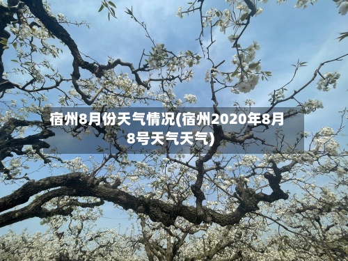 宿州8月份天气情况(宿州2020年8月8号天气天气)-第2张图片