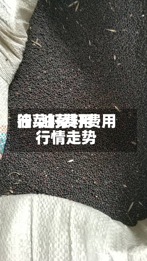 油菜籽费用
行/油菜籽费用
行情走势-第3张图片