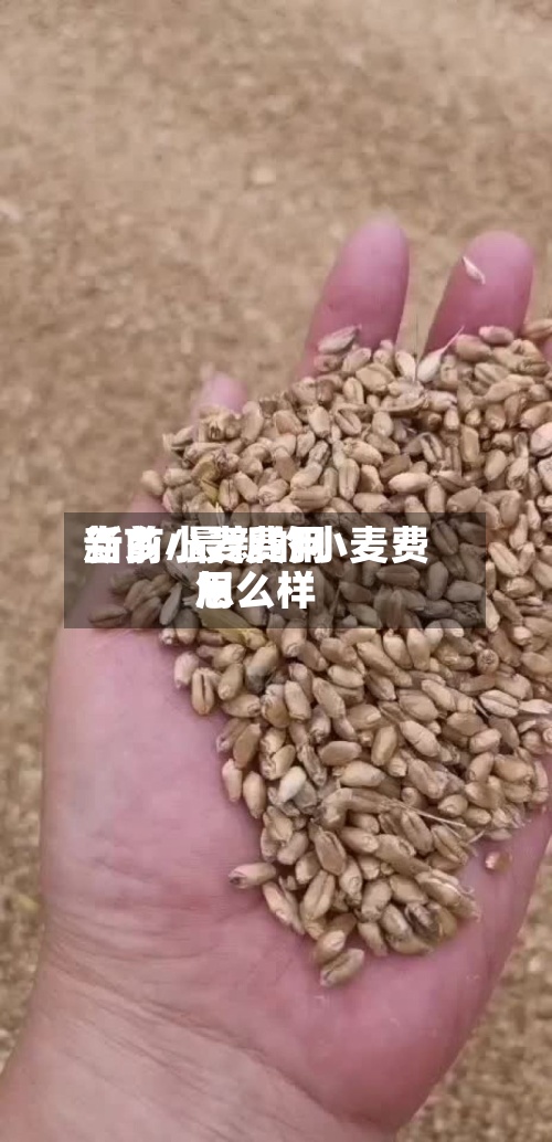 当前小麦费用新乡/最新的小麦费用怎么样