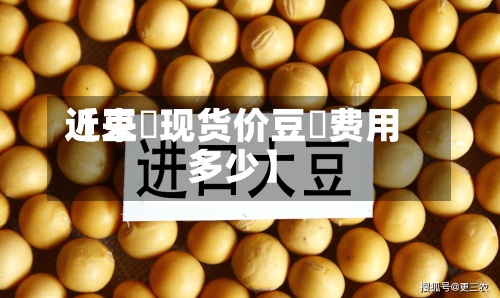 近来【豆粨现货价豆粄费用多少】