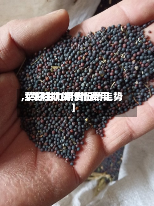 【菜籽期货行情费用
,菜籽主力期货行情走势】-第2张图片