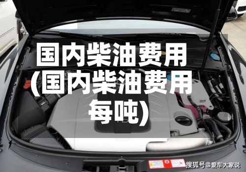 国内柴油费用(国内柴油费用每吨)