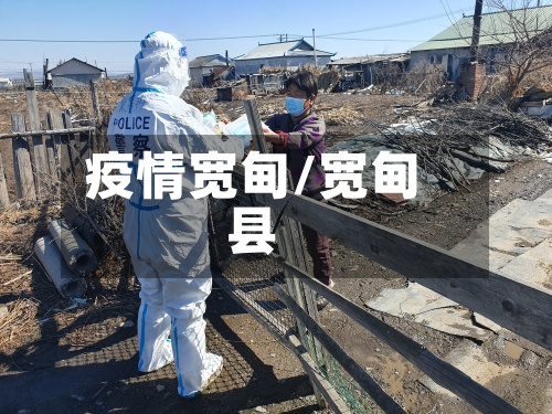 疫情宽甸/宽甸县