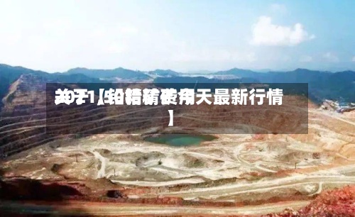 关于【铅精矿费用2021,50铅精矿今天最新行情】-第2张图片