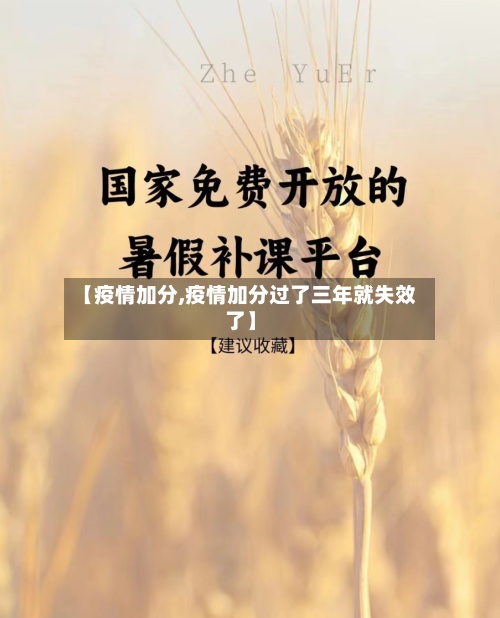 【疫情加分,疫情加分过了三年就失效了】-第2张图片