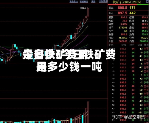 今日铁矿费用是多少/今日铁矿费用是多少钱一吨-第3张图片
