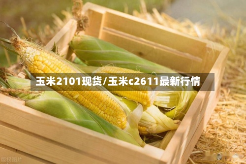 玉米2101现货/玉米c2611最新行情