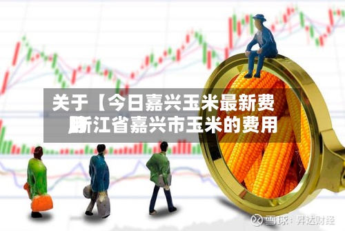 关于【今日嘉兴玉米最新费用
,浙江省嘉兴市玉米的费用
】-第3张图片