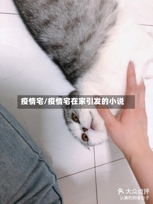 疫情宅/疫情宅在家引发的小说