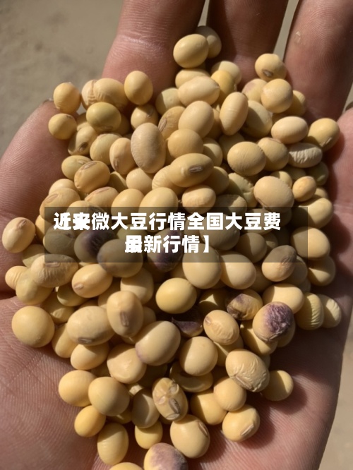近来
【安微大豆行情全国大豆费用
最新行情】-第2张图片