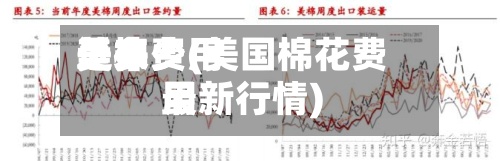 近来
美棉费用
是多少(美国棉花费用
最新行情)-第2张图片