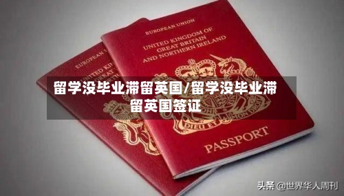 留学没毕业滞留英国/留学没毕业滞留英国签证
