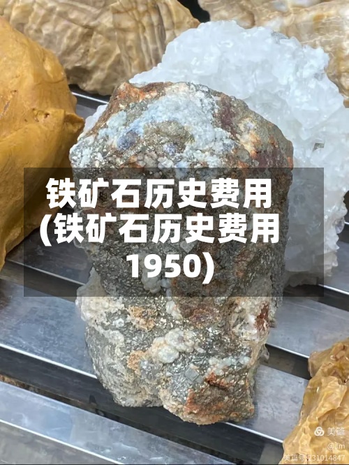 铁矿石历史费用
(铁矿石历史费用
1950)-第2张图片