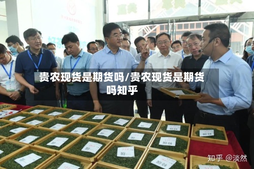 贵农现货是期货吗/贵农现货是期货吗知乎-第2张图片
