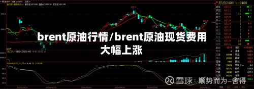 brent原油行情/brent原油现货费用
大幅上涨-第3张图片