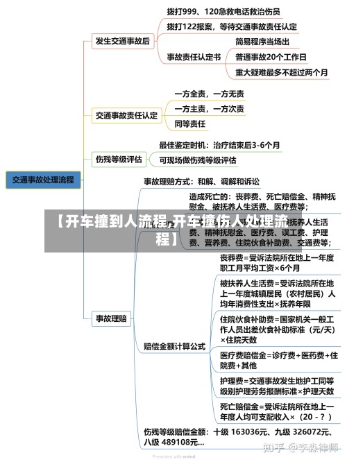 【开车撞到人流程,开车撞伤人处理流程】