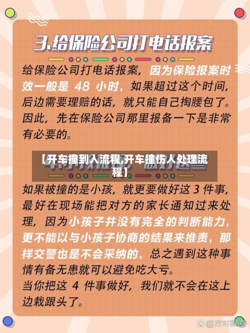 【开车撞到人流程,开车撞伤人处理流程】-第2张图片