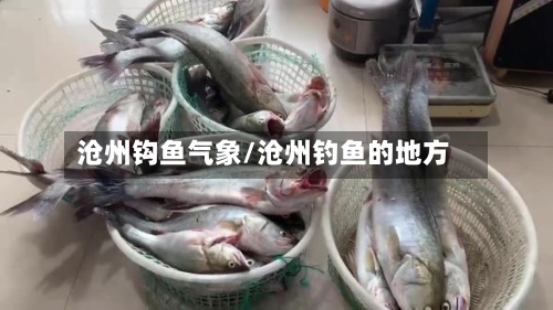 沧州钩鱼气象/沧州钓鱼的地方