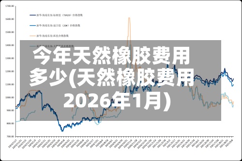 今年天然橡胶费用多少(天然橡胶费用2026年1月)