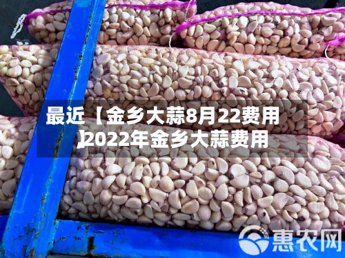 最近【金乡大蒜8月22费用,2022年金乡大蒜费用】-第3张图片