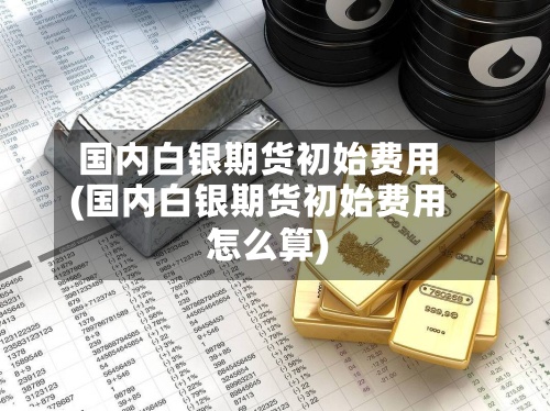 国内白银期货初始费用(国内白银期货初始费用怎么算)