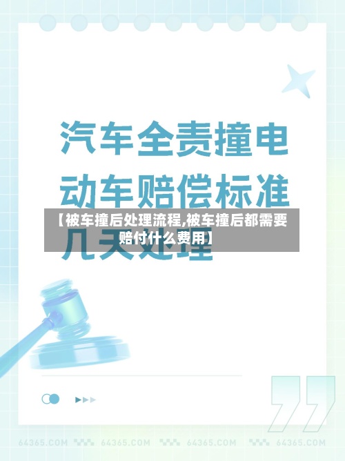 【被车撞后处理流程,被车撞后都需要赔付什么费用】-第2张图片