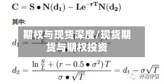 期权与现货深度/现货期货与期权投资-第3张图片