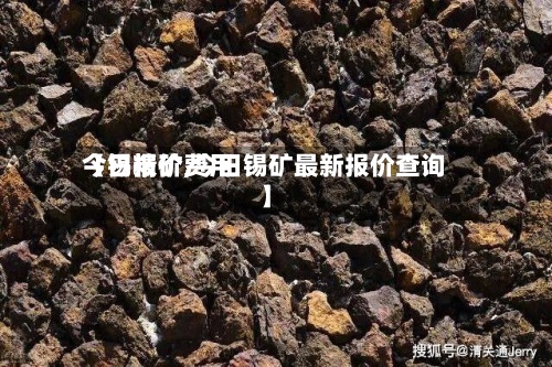 【锡精矿费用
今日报价,今日锡矿最新报价查询】-第3张图片