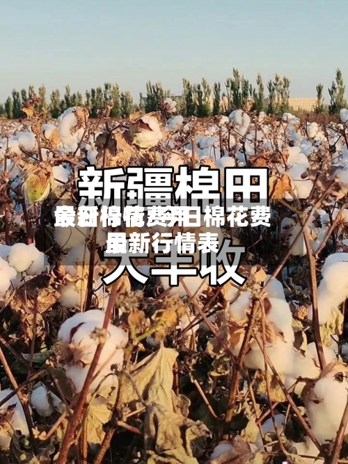 今日棉花费用最新行情/今日棉花费用最新行情表