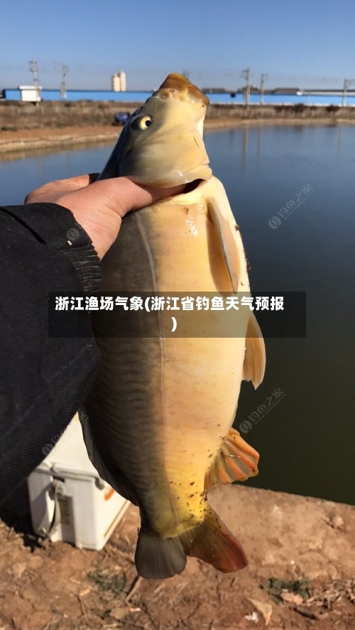 浙江渔场气象(浙江省钓鱼天气预报)