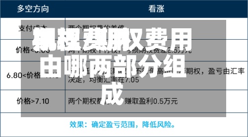 期权费用机理/期权费用由哪两部分组成