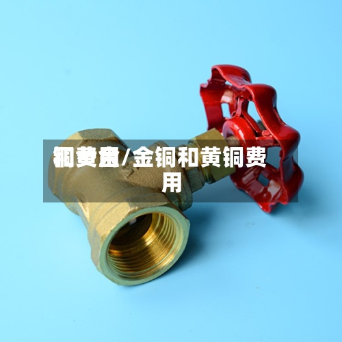 铜费用和黄金/金铜和黄铜费用