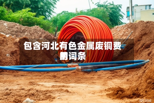 包含河北有色金属废铜费用的词条