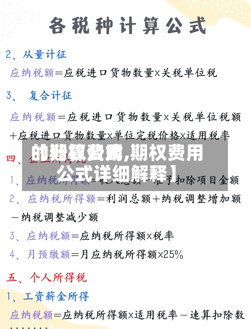【期权费用的计算公式,期权费用公式详细解释】