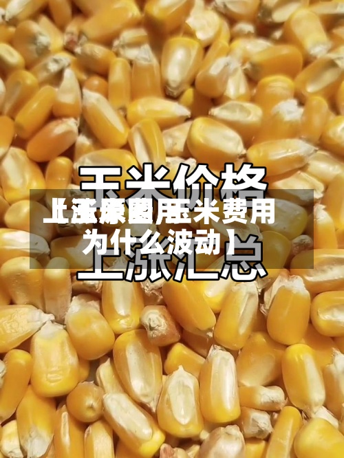 【玉米费用
上涨原因,玉米费用
为什么波动】-第2张图片