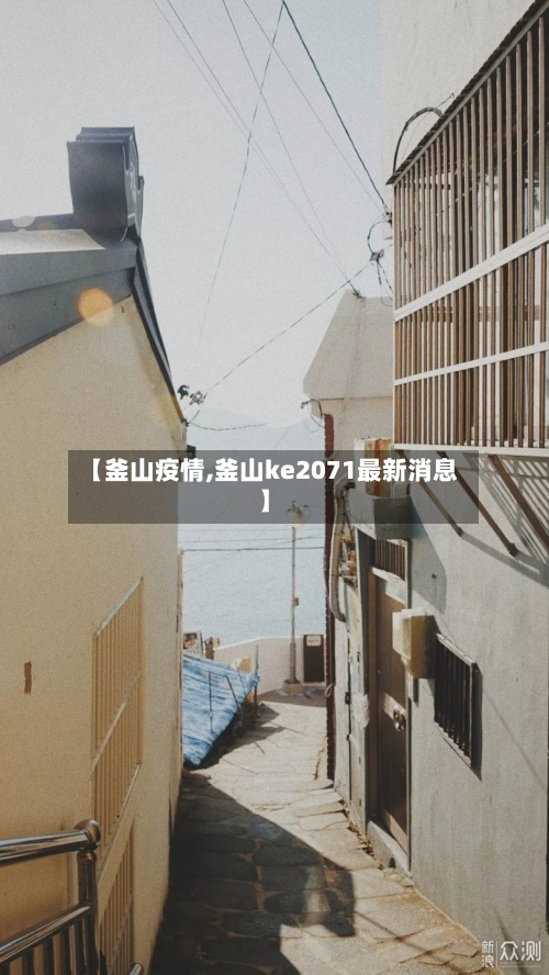 【釜山疫情,釜山ke2071最新消息】-第2张图片